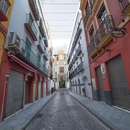 Casa Hernando Colon Sevilla Exteriör bild